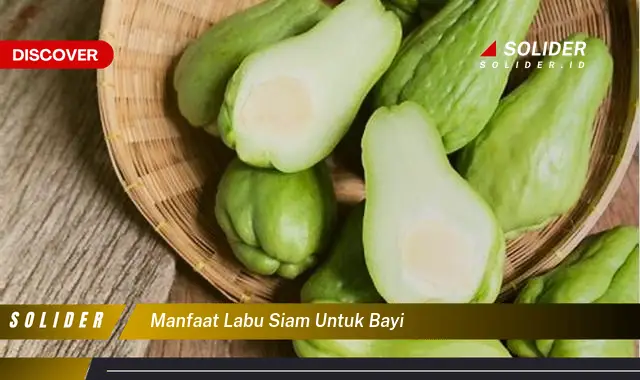 manfaat labu siam untuk bayi