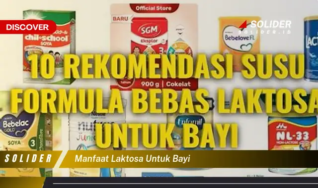 manfaat laktosa untuk bayi