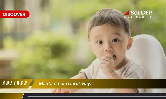 manfaat lele untuk bayi