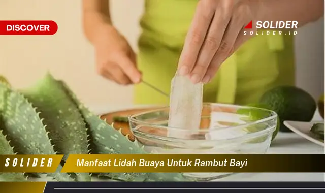 manfaat lidah buaya untuk rambut bayi