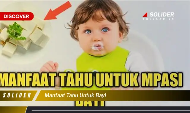 manfaat tahu untuk bayi