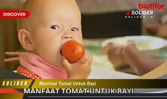 manfaat tomat untuk bayi