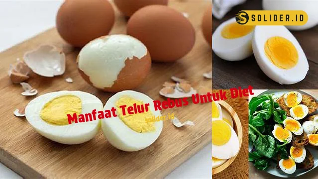 Temukan Manfaat Telur Rebus Untuk Diet Yang Jarang Diketahui Solider