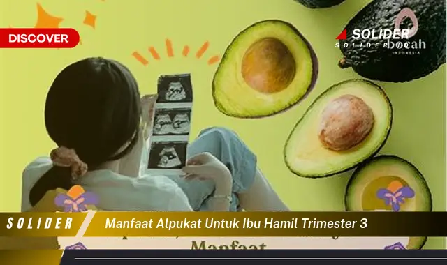 manfaat alpukat untuk ibu hamil trimester 3