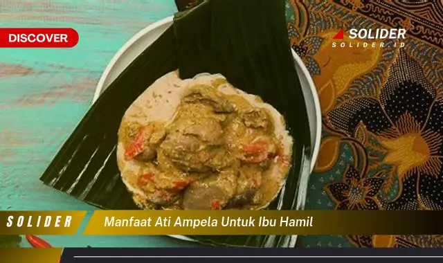 manfaat ati ampela untuk ibu hamil