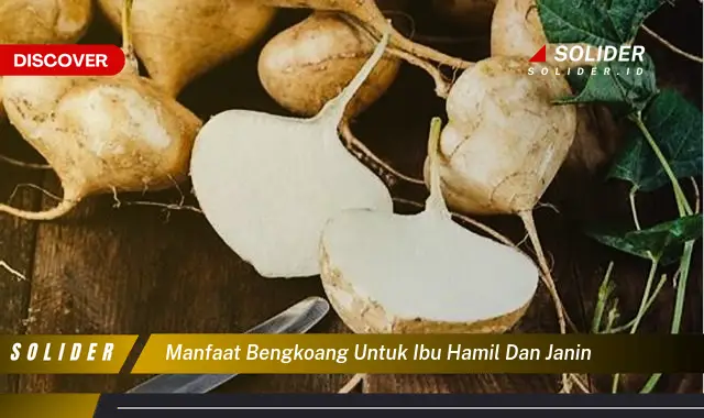 manfaat bengkoang untuk ibu hamil dan janin