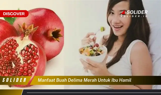 10 Manfaat Buah Delima Merah Untuk Ibu Hamil Yang Jarang Diketahui