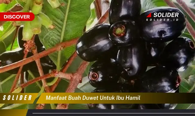 Temukan Manfaat Buah Duwet Untuk Ibu Hamil Yang Bikin Kamu Penasaran