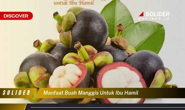 manfaat buah manggis untuk ibu hamil