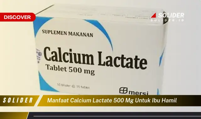 manfaat calcium lactate 500 mg untuk ibu hamil