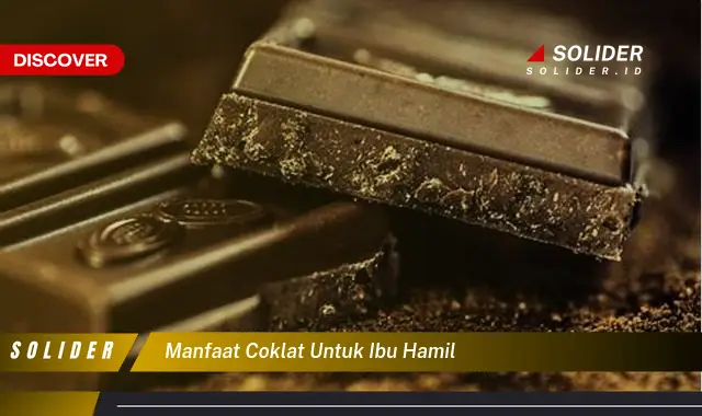 Temukan Manfaat Cokelat Yang Jarang Diketahui Untuk Ibu Hamil Solider