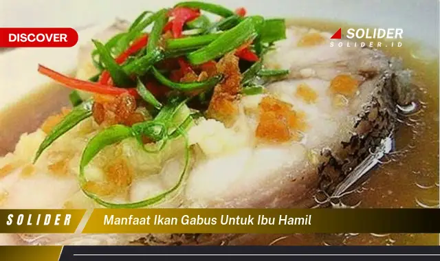 manfaat ikan gabus untuk ibu hamil