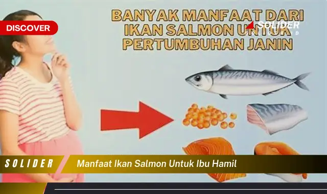 manfaat ikan salmon untuk ibu hamil