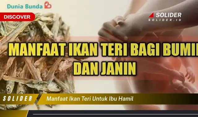 manfaat ikan teri untuk ibu hamil