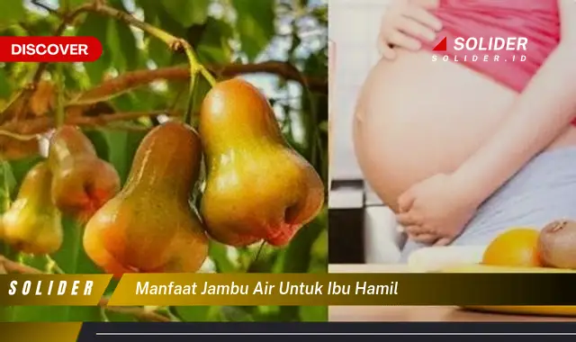 manfaat jambu air untuk ibu hamil