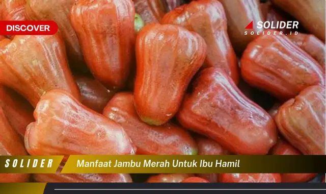 manfaat jambu merah untuk ibu hamil