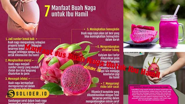 Temukan Manfaat Jus Buah Naga Untuk Ibu Hamil Yang Belum Banyak