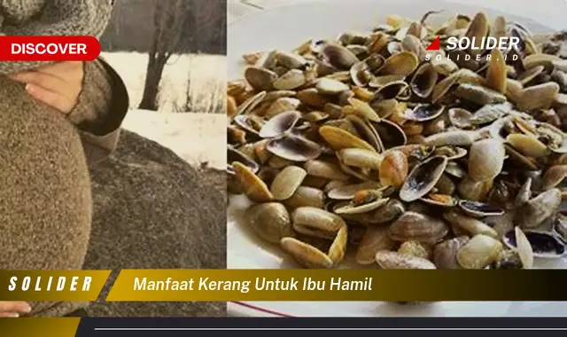 manfaat kerang untuk ibu hamil