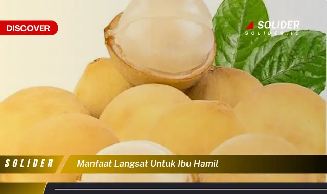 manfaat langsat untuk ibu hamil