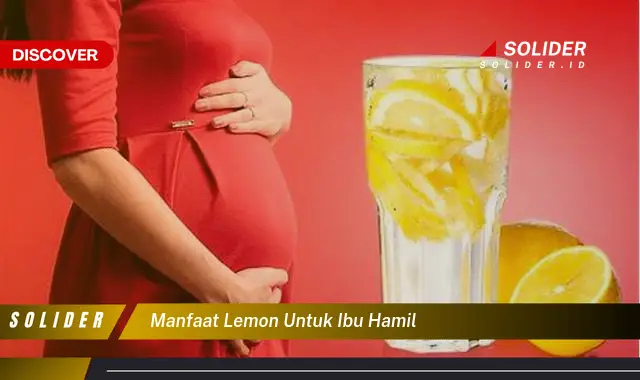 Temukan Manfaat Lemon Untuk Ibu Hamil Yang Jarang Diketahui Solider