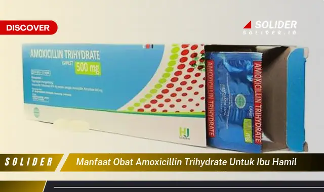 manfaat obat amoxicillin trihydrate untuk ibu hamil