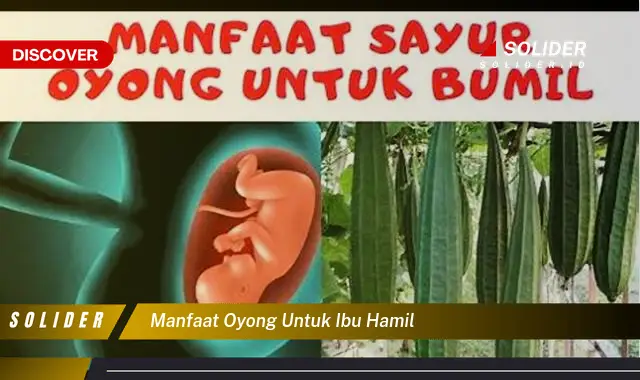 manfaat oyong untuk ibu hamil