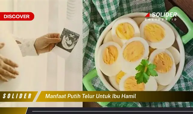 manfaat putih telur untuk ibu hamil