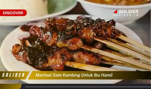 manfaat sate kambing untuk ibu hamil