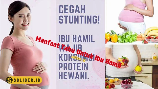 Temukan 10 Manfaat Tahu Untuk Ibu Hamil Jarang Diketahui Solider