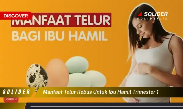 Temukan Manfaat Telur Rebus Untuk Ibu Hamil Trimester 1 Yang Jarang