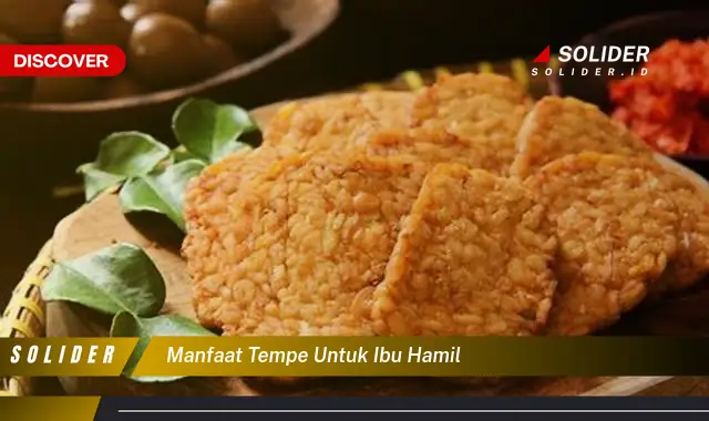 manfaat tempe untuk ibu hamil