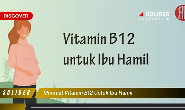 manfaat vitamin b12 untuk ibu hamil