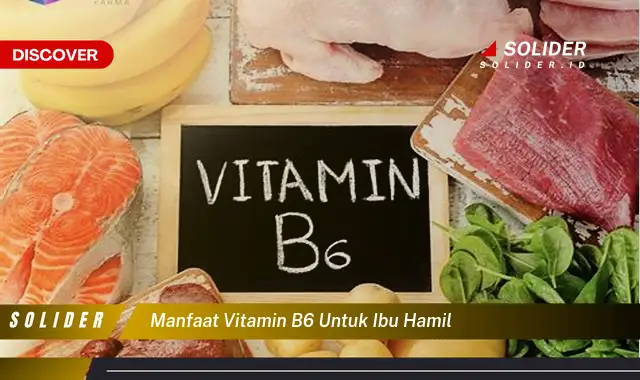 Temukan 10 Manfaat Vitamin B6 Untuk Ibu Hamil Yang Jarang Diketahui ...