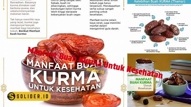 Temukan 7 Manfaat Buah Kurma Yang Jarang Diketahui Solider