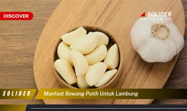 manfaat bawang putih untuk lambung