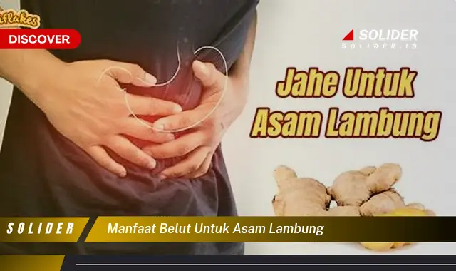 Temukan 4 Manfaat Belut Untuk Asam Lambung Yang Jarang Diketahui