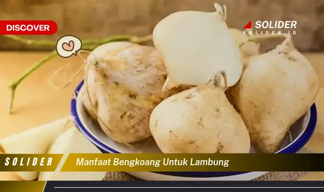 manfaat bengkoang untuk lambung