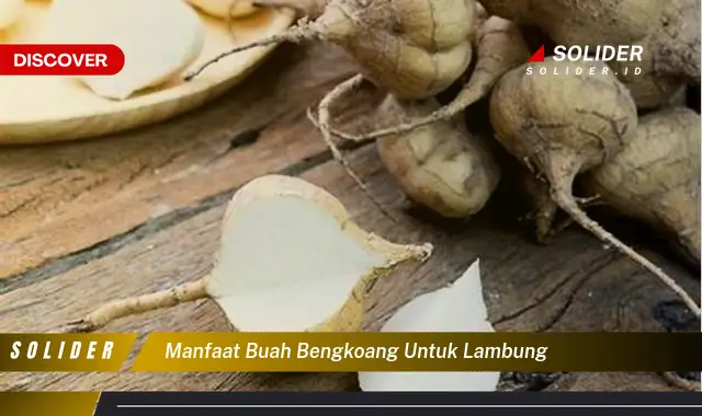 manfaat buah bengkoang untuk lambung