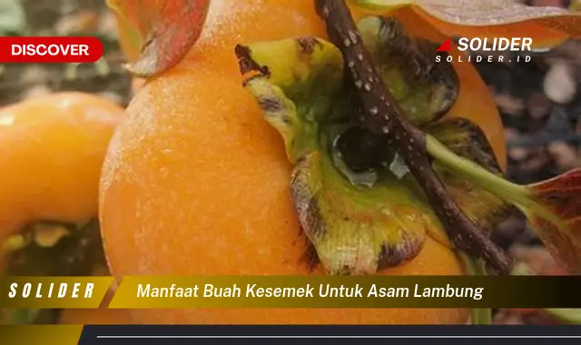 manfaat buah kesemek untuk asam lambung