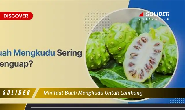 manfaat buah mengkudu untuk lambung