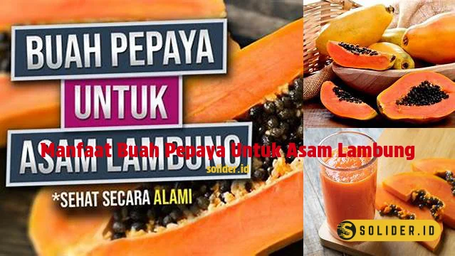 manfaat buah pepaya untuk asam lambung