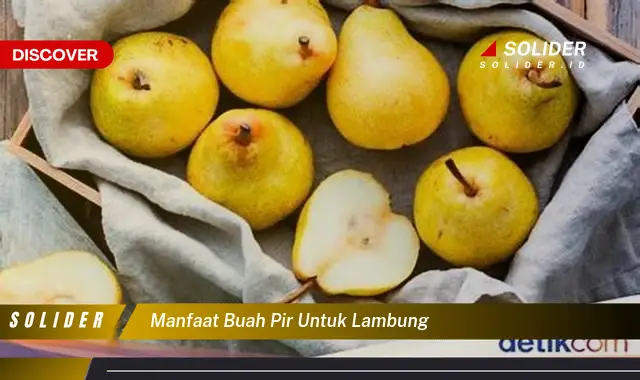 manfaat buah pir untuk lambung