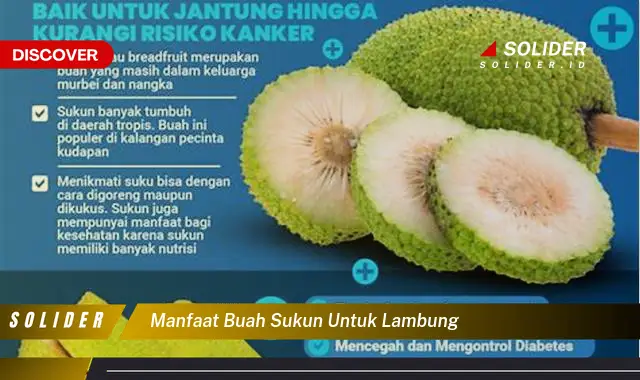 manfaat buah sukun untuk lambung