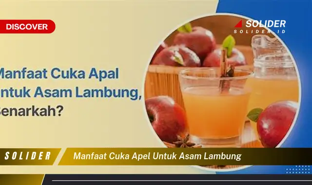 Temukan Manfaat Cuka Apel Untuk Asam Lambung Yang Jarang Diketahui