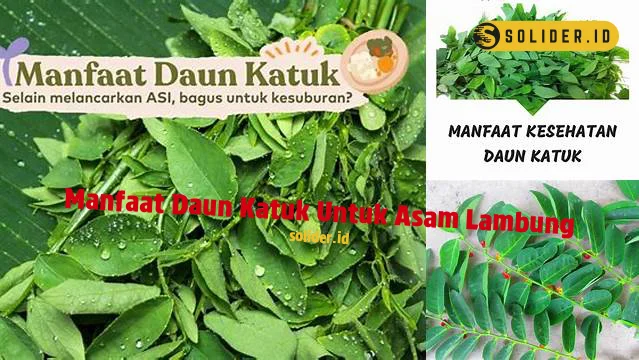 Temukan Manfaat Ajaib Daun Katuk Untuk Asam Lambung Yang Jarang