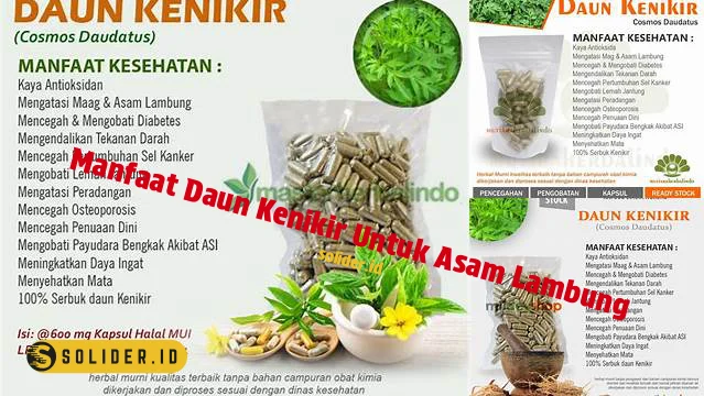 Temukan Manfaat Daun Kenikir Untuk Asam Lambung Yang Jarang Diketahui