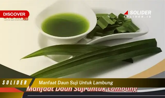 manfaat daun suji untuk lambung