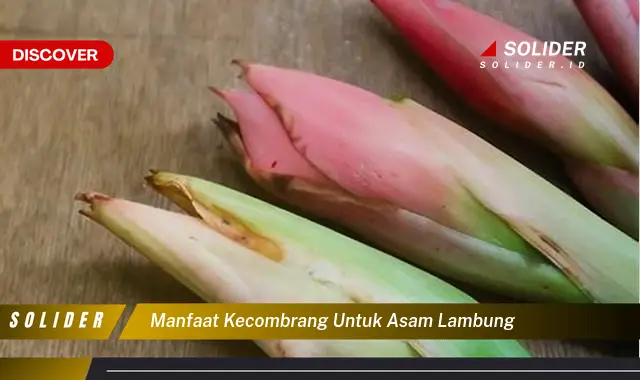 Temukan Manfaat Kecombrang Untuk Asam Lambung Yang Jarang Diketahui