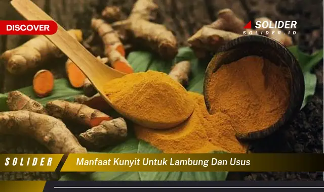 Temukan Khasiat Kunyit Untuk Lambung Dan Usus Yang Jarang Diketahui