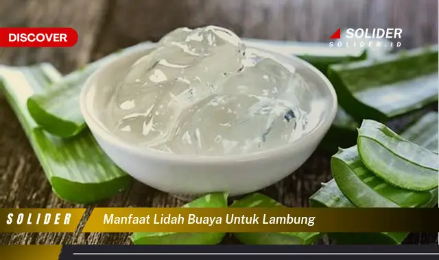 manfaat lidah buaya untuk lambung